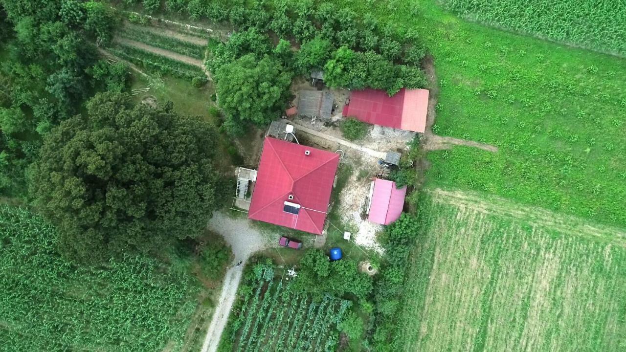 Guesthouse Kamelia Martvili Exterior foto