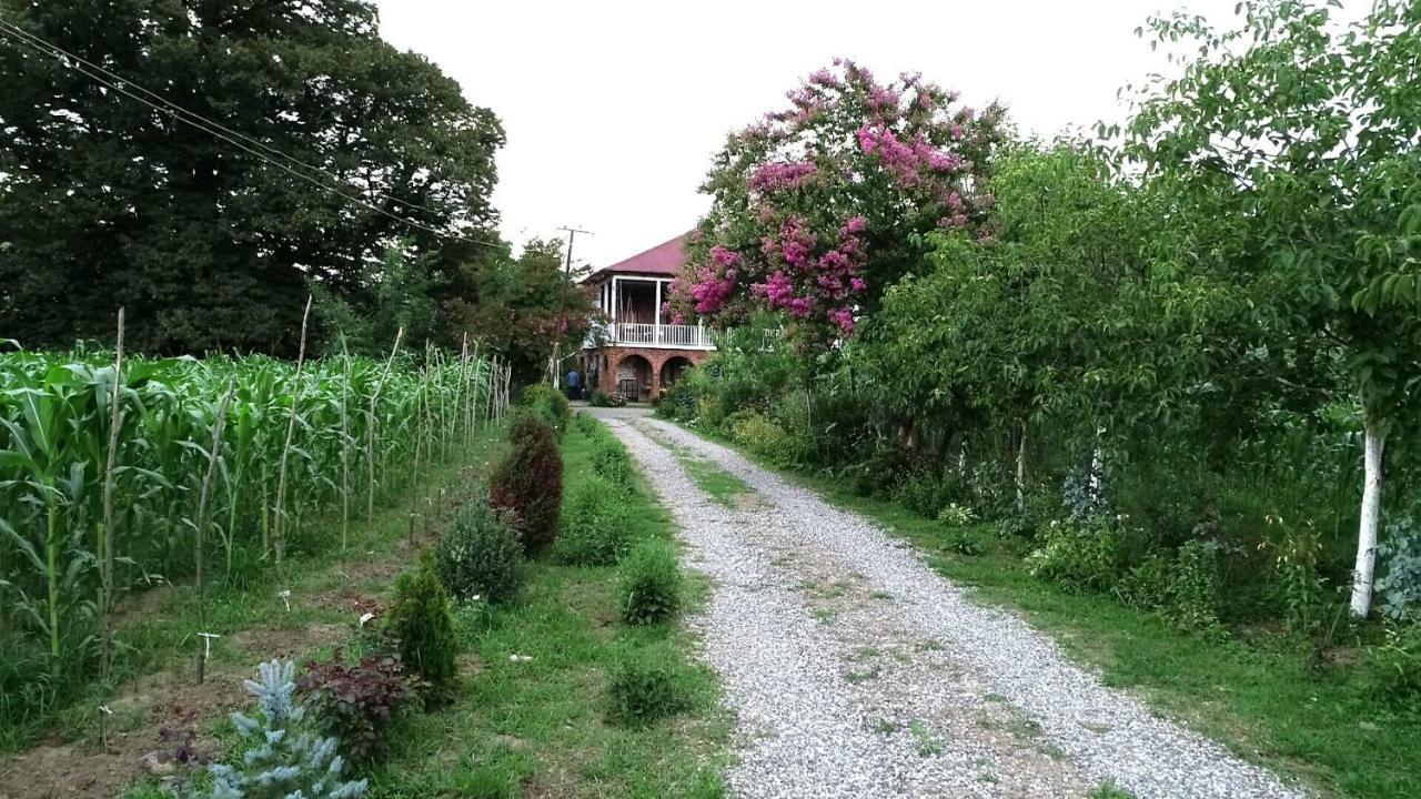 Guesthouse Kamelia Martvili Exterior foto